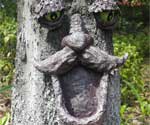 Funny Tree Face with Bird Feeder Arttached