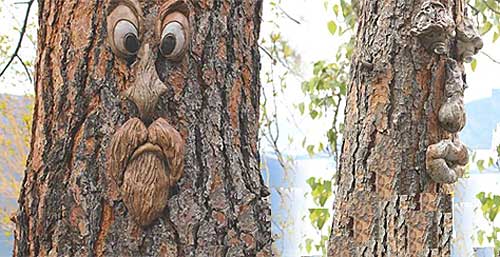 Funny Old Man Tree Faces - Set of 4