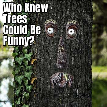 Funny Tree Faces for Trees