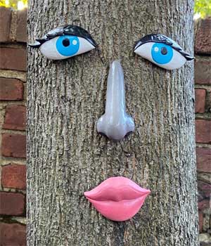 Lady Tree Face with Blue Eyes, Eyelashes, Red Lips and Slender Nose