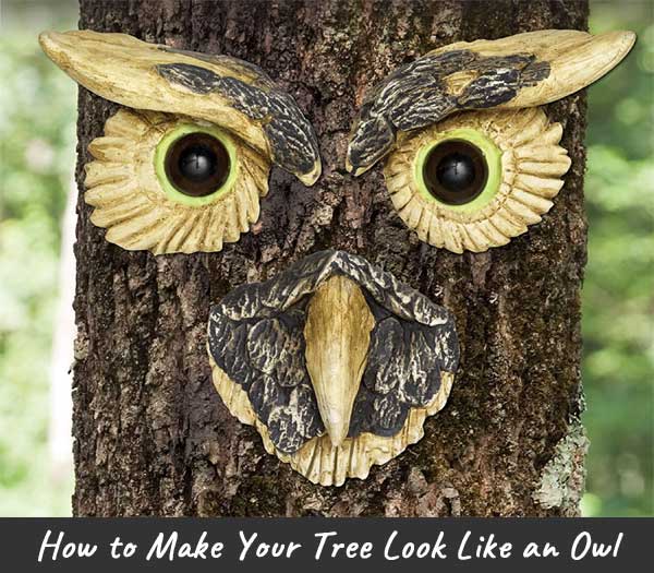 Owl Tree Face - How to Make Your Trees Look Like Owls